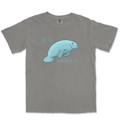 Comfort Colors T-Shirt Manatee in Grey