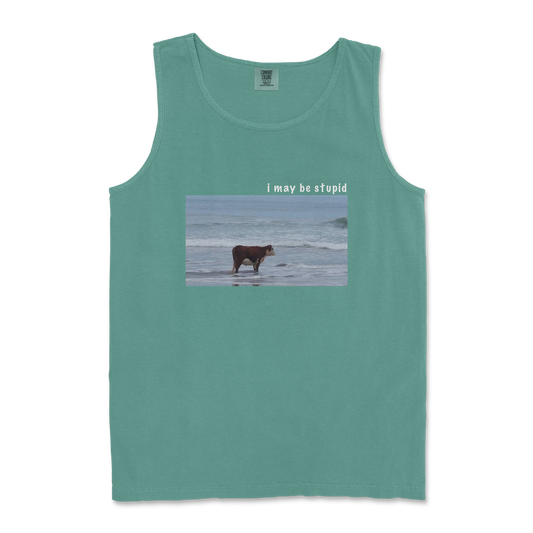 Comfort Colors Tank Top Stupid in Light Green