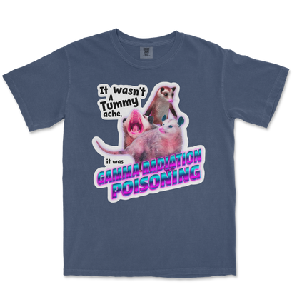 Comfort Colors T-Shirt Possum Radiation  in Midnight