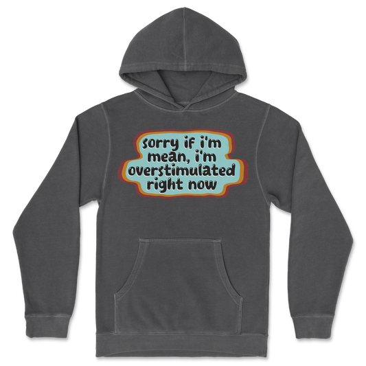 Independent Clothing Co. Hoodie Overstimulated in Black