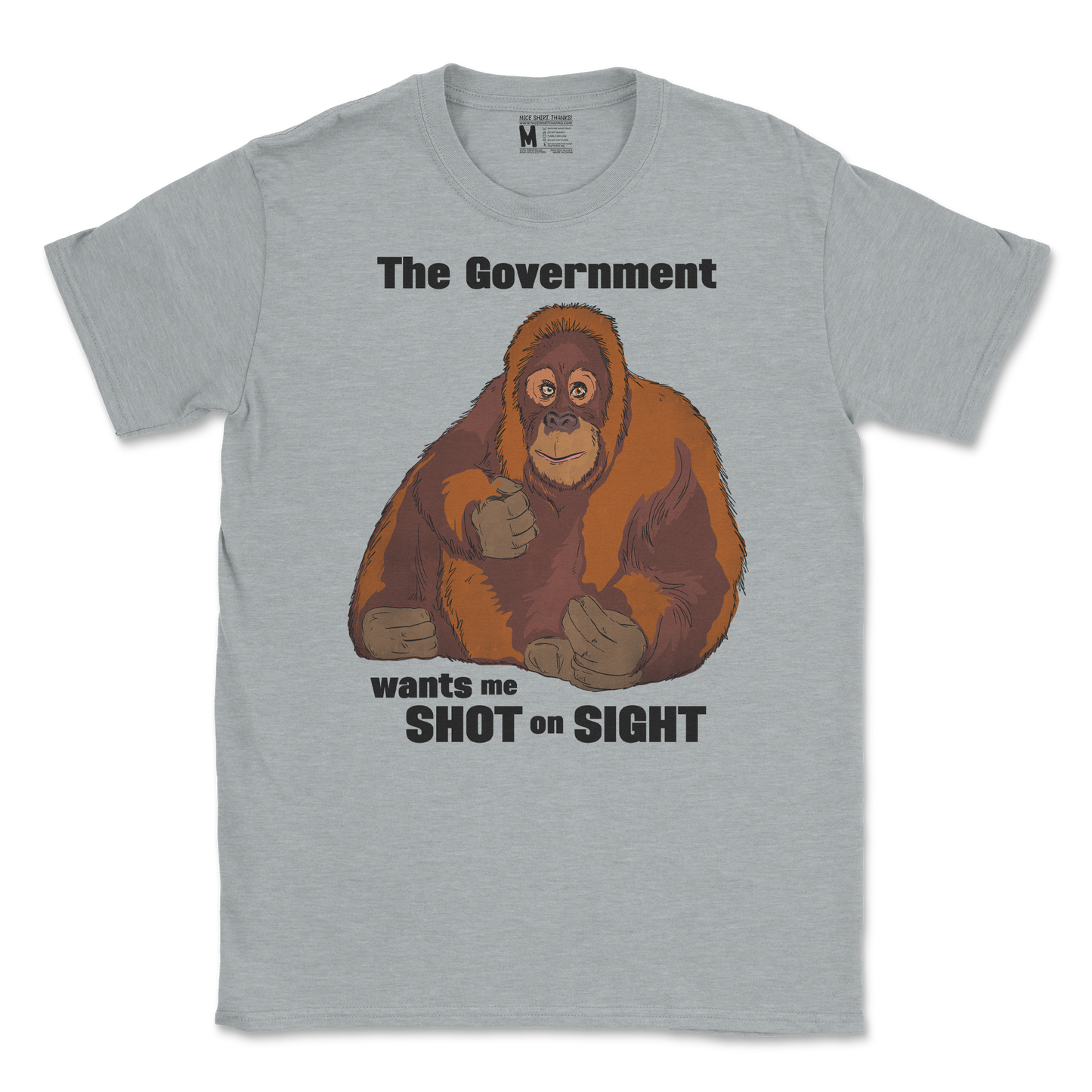 Gildan SoftStyle T-Shirt The Government Hates Me  in Sport-Grey