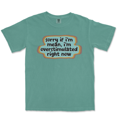 Comfort Colors T-Shirt in LightGreen