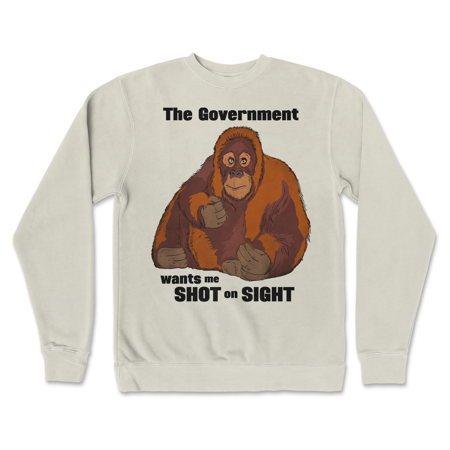 Independent Clothing Co. Crew Neck The Government Hates Me  in Bone