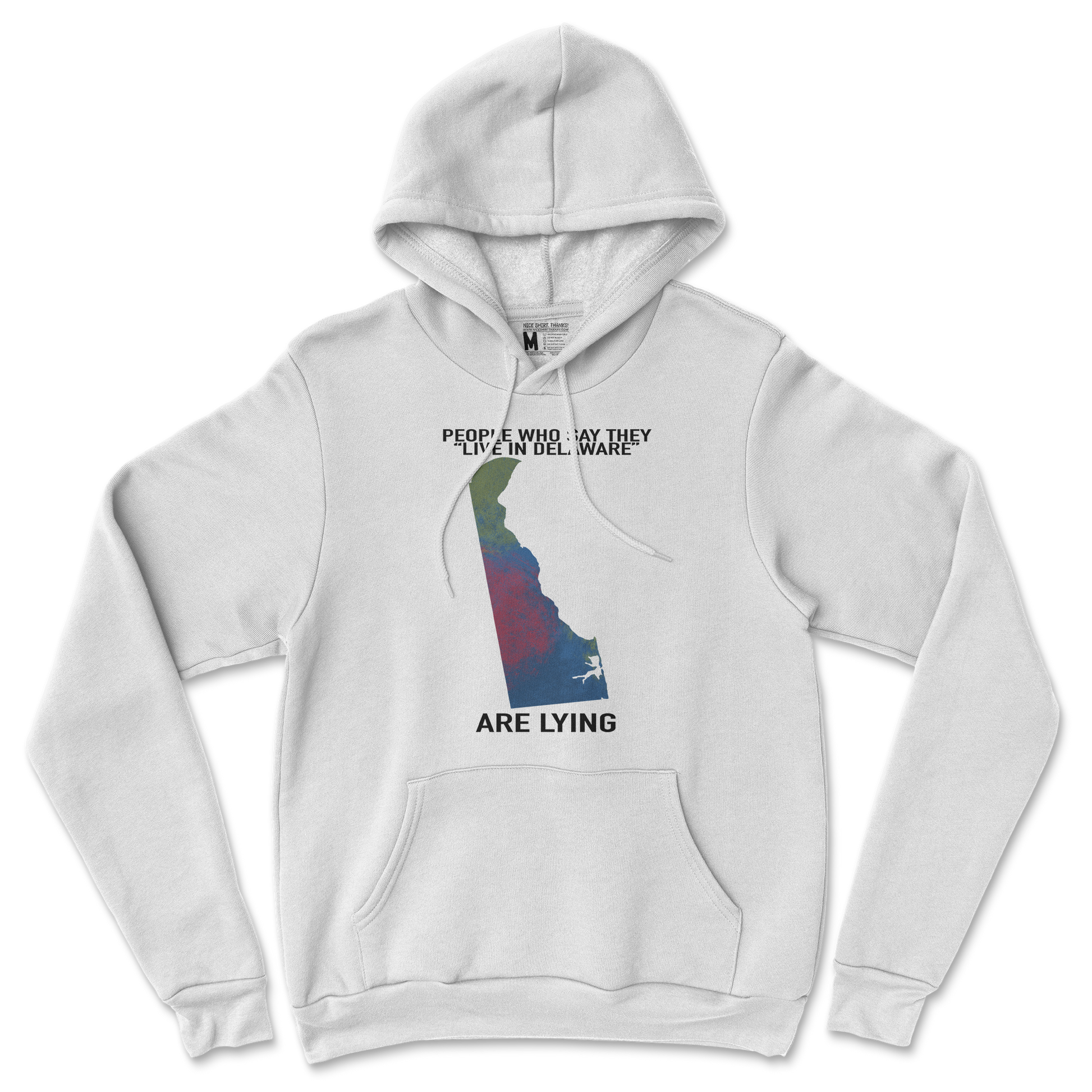 Gildan SoftStyle Hoodie Delaware Doesnt Exist in White