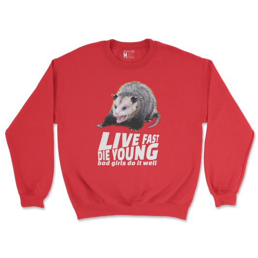 Gildan SoftStyle Crew Neck Live Fast Die Young in Red