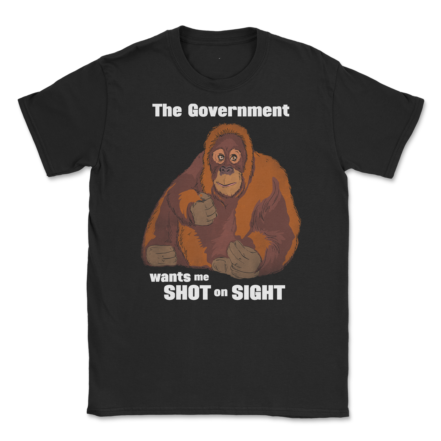 Gildan SoftStyle T-Shirt The Government Hates Me  in Black