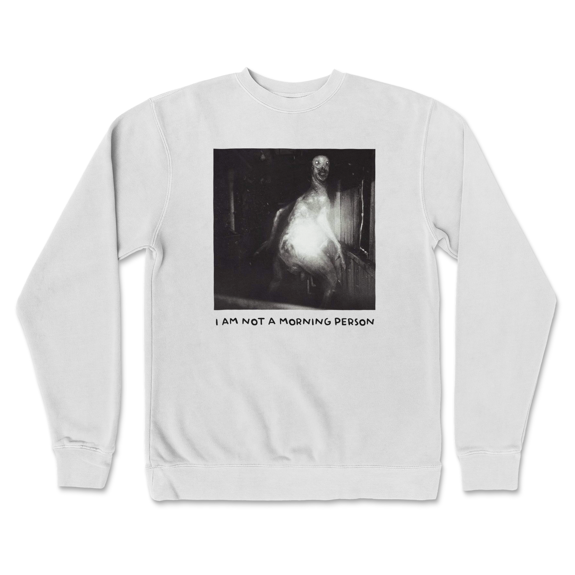 Independent Clothing Co. Crew Neck Not A Morning Person in White