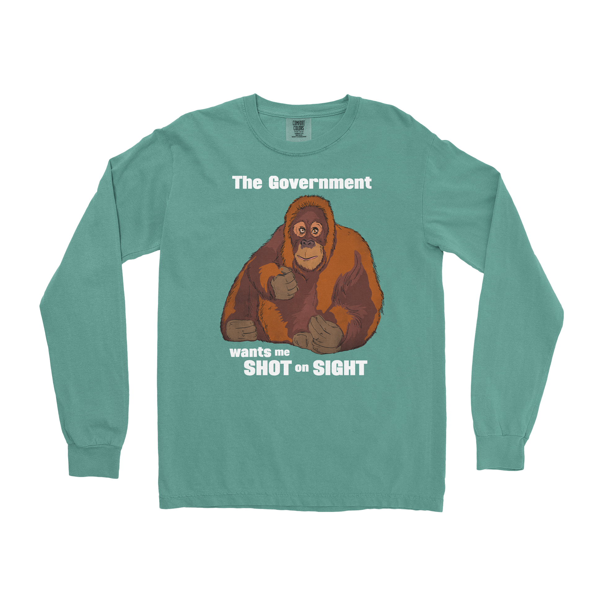 Comfort Colors Long Sleeve The Government Hates Me  in Light-Green