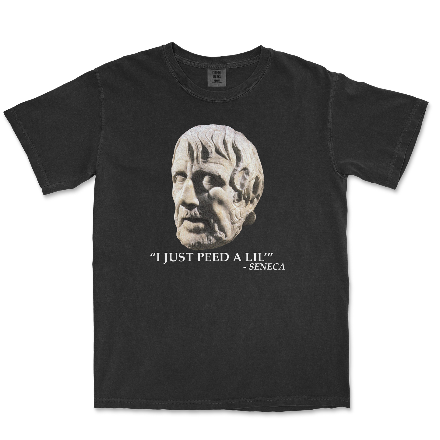 Comfort Colors T-Shirt Seneca Pee in Black