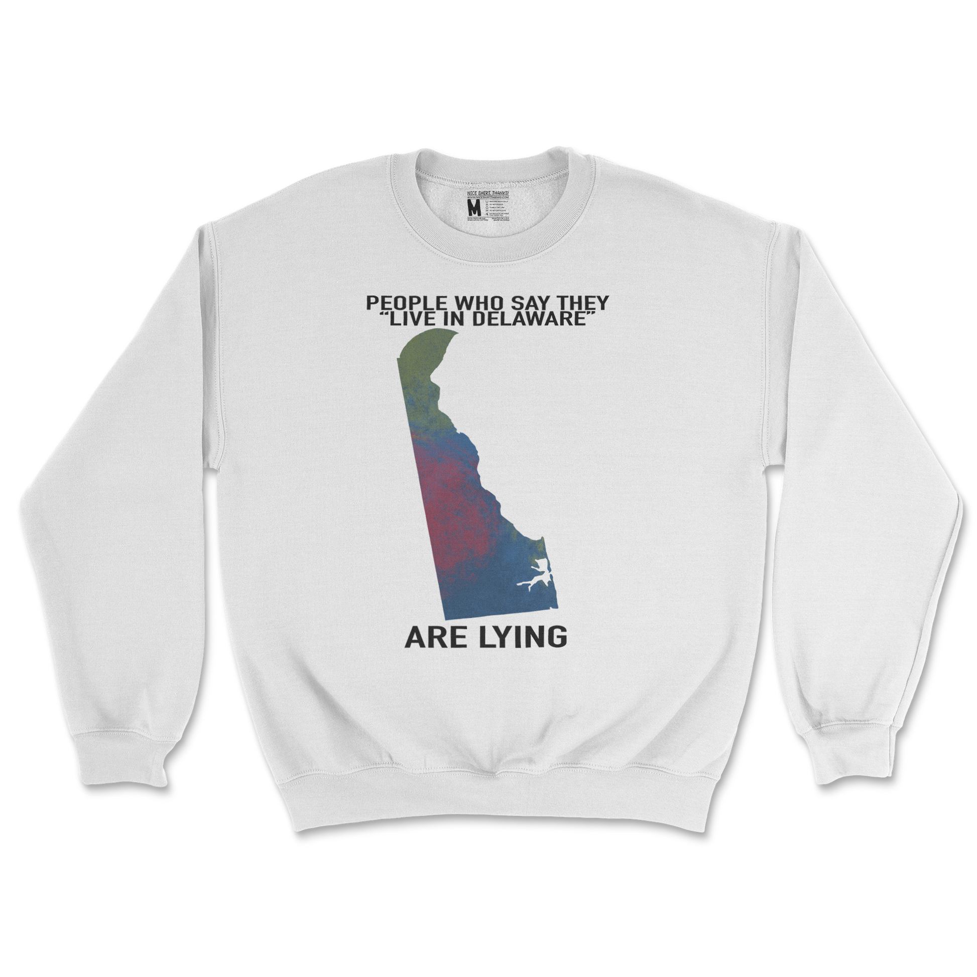 Gildan SoftStyle Crew Neck Delaware Doesnt Exist in White