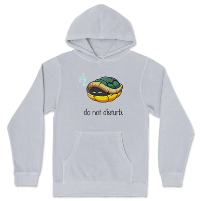 Independent Clothing Co. Hoodie Sleepin Turtle in GreyHeather