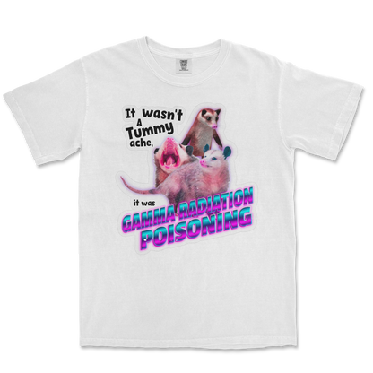 Comfort Colors T-Shirt Possum Radiation  in White