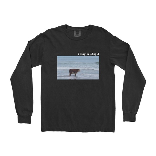 Comfort Colors Long Sleeve Stupid in Black