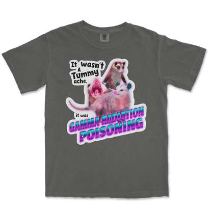 Comfort Colors T-Shirt Possum Radiation  in Pepper