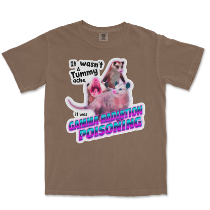 Comfort Colors T-Shirt Possum Radiation  in Espresso