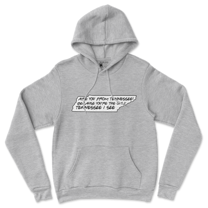 Gildan SoftStyle Hoodie Tennessee in Sports Grey