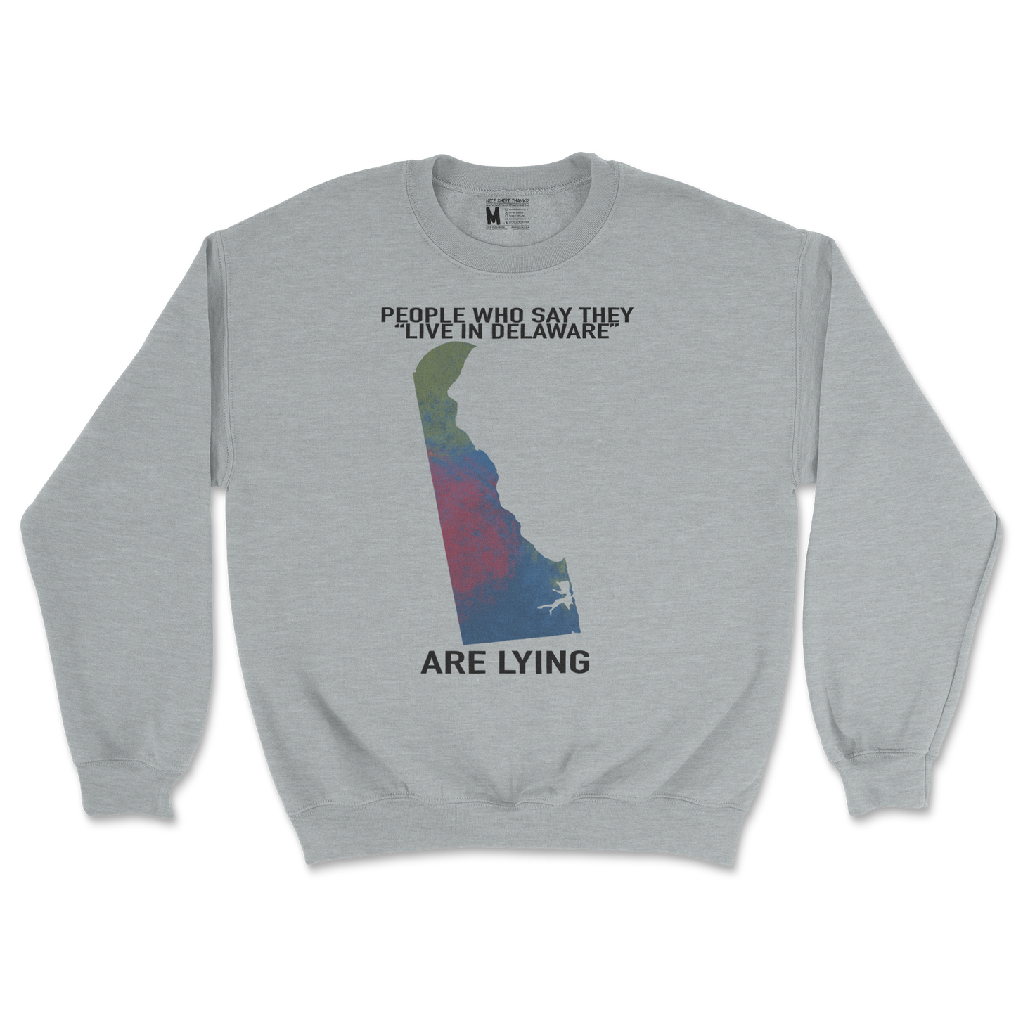 Gildan SoftStyle Crew Neck Delaware Doesnt Exist in Sports Grey