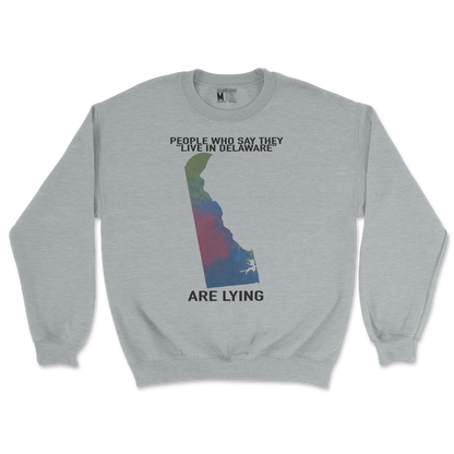 Gildan SoftStyle Crew Neck Delaware Doesnt Exist in Sports Grey