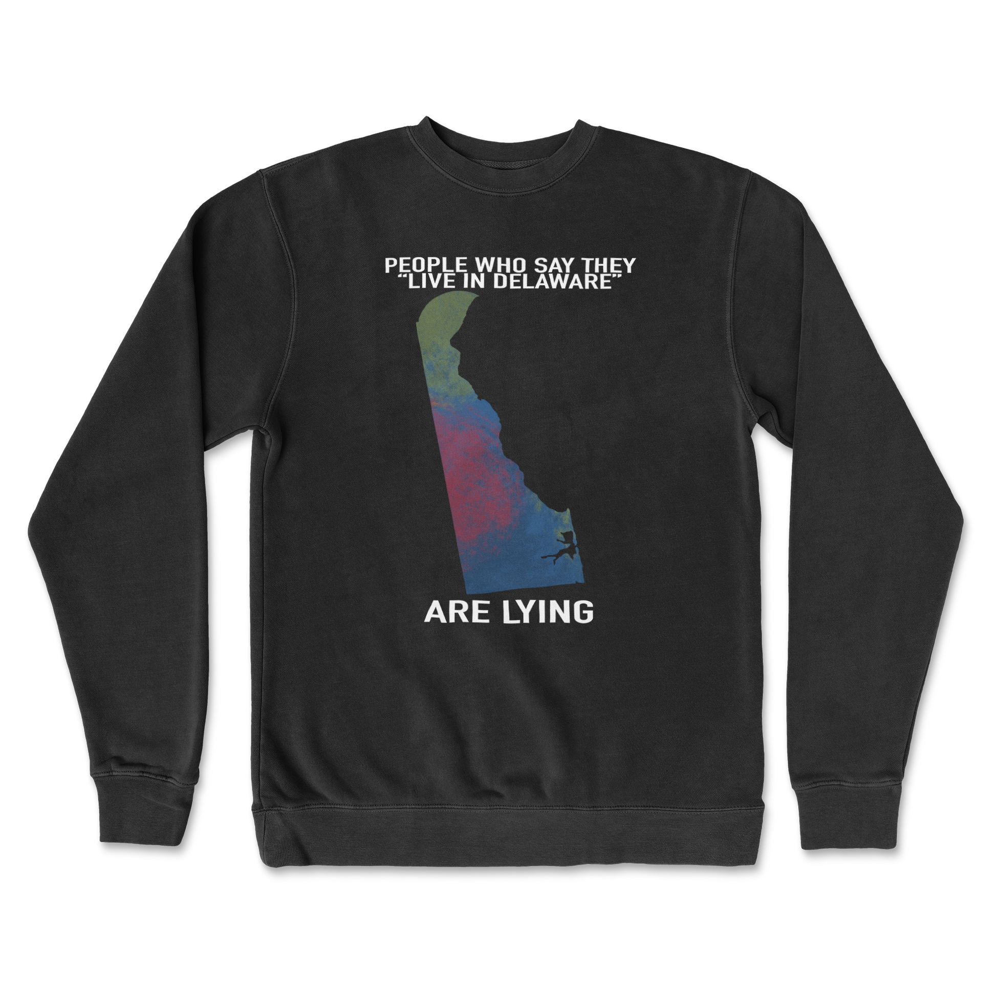 Independent Clothing Co. Crew Neck Delaware Doesnt Exist in Black