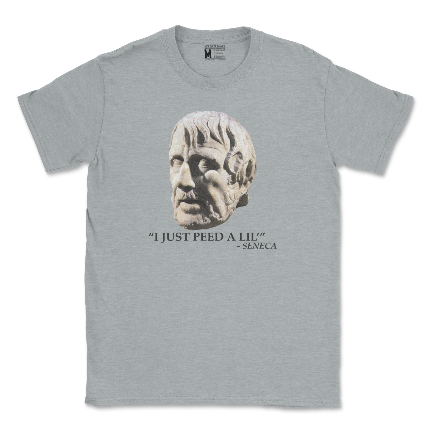 Gildan SoftStyle T-Shirt Seneca Pee in Sports Grey