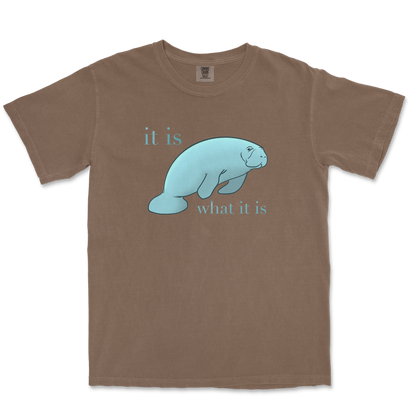 Comfort Colors T-Shirt Manatee in Espresso