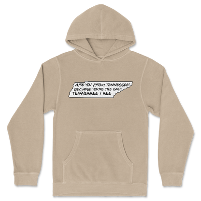 Independent Clothing Co. Hoodie Tennessee in Sandstone