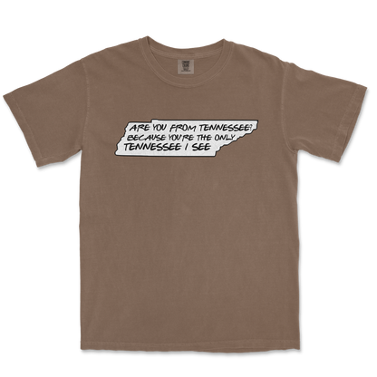 Comfort Colors T-Shirt Tennessee in Espresso