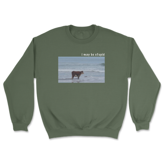 Heavy Blend Crew Neck Stupid in Military Green