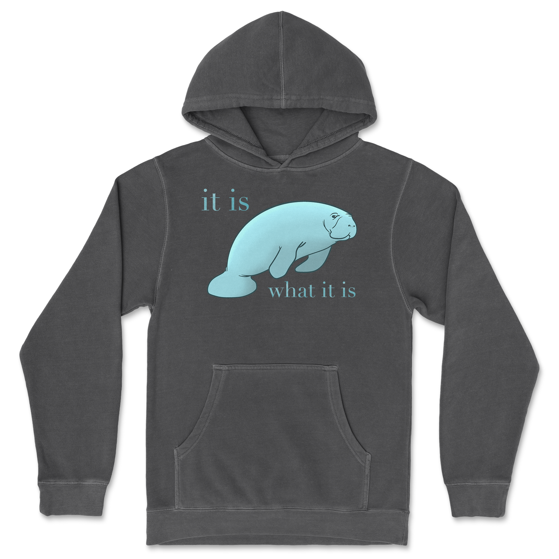 Independent Clothing Co. Hoodie Manatee in Black