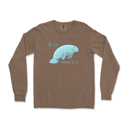 Comfort Colors Long Sleeve Manatee in Espresso