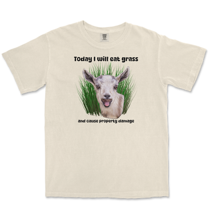 Comfort Colors T-Shirt Crazy Goat  in Ivory