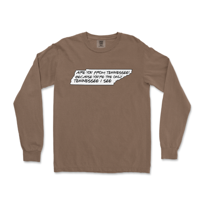 Comfort Colors Long Sleeve Tennessee in Espresso