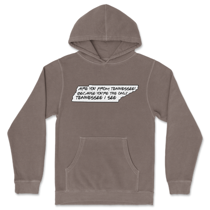 Independent Clothing Co. Hoodie Tennessee in Clay