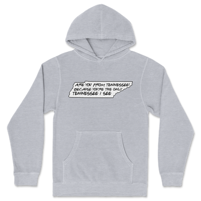 Independent Clothing Co. Hoodie Tennessee in GreyHeather