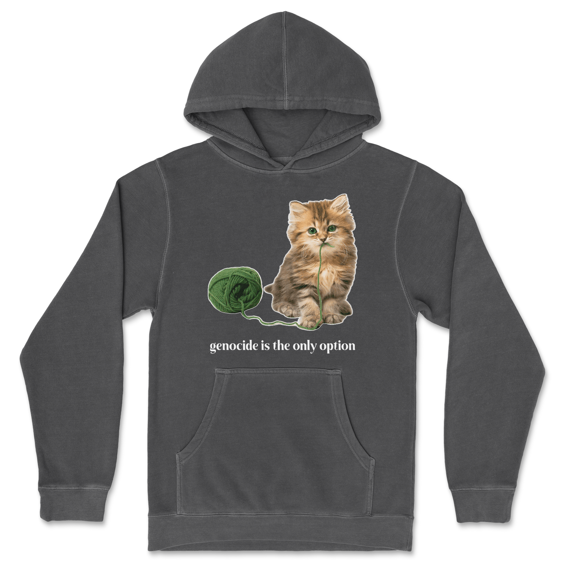 Independent Clothing Co. Hoodie Genocide Kitty  in Black