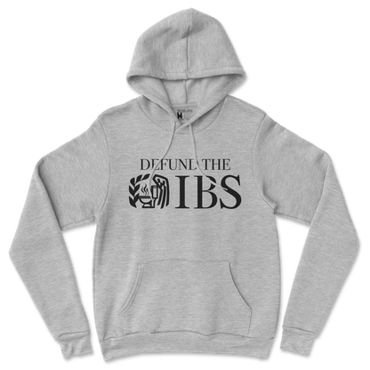 Gildan SoftStyle Hoodie Defund The IBS in Sports Grey