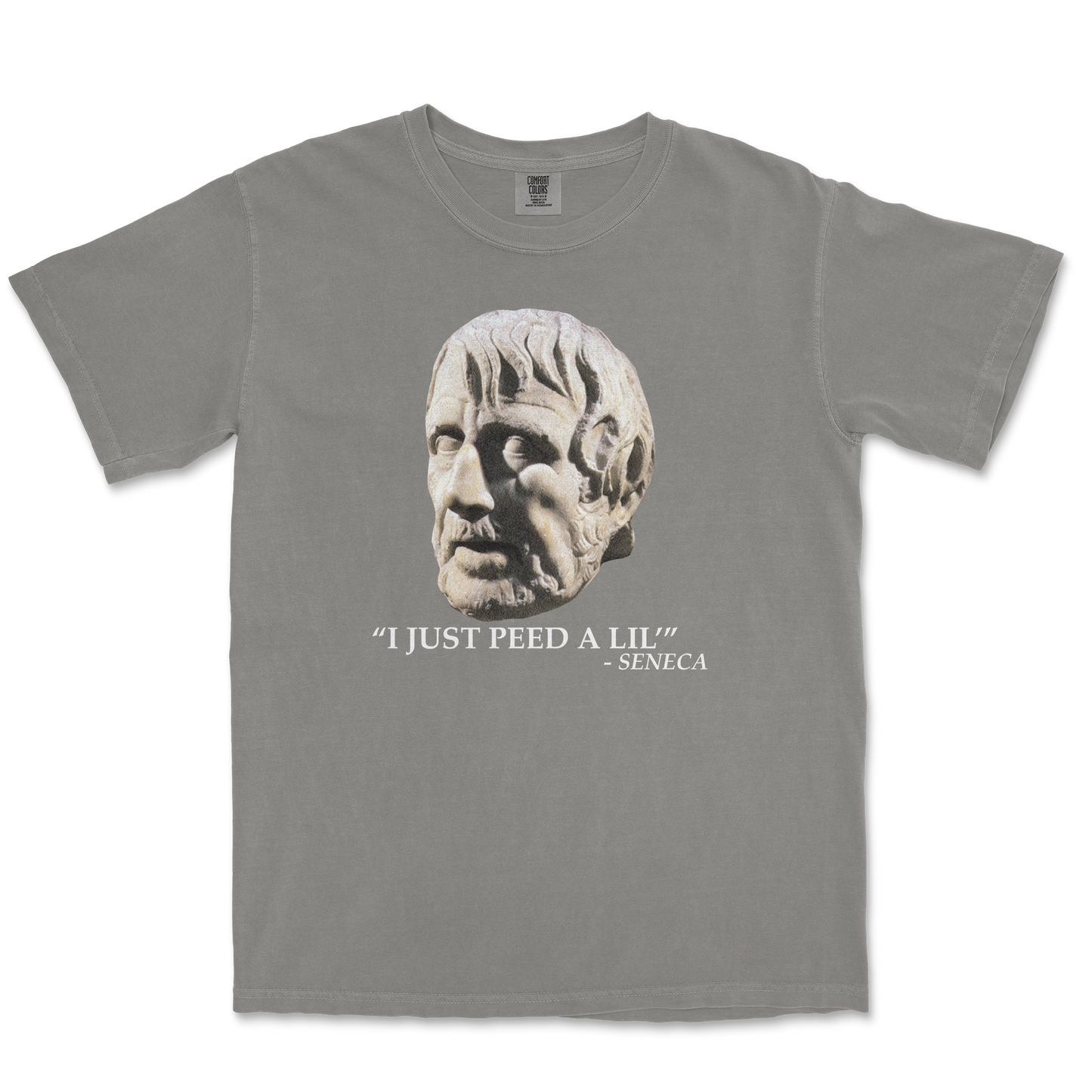 Comfort Colors T-Shirt Seneca Pee in Grey