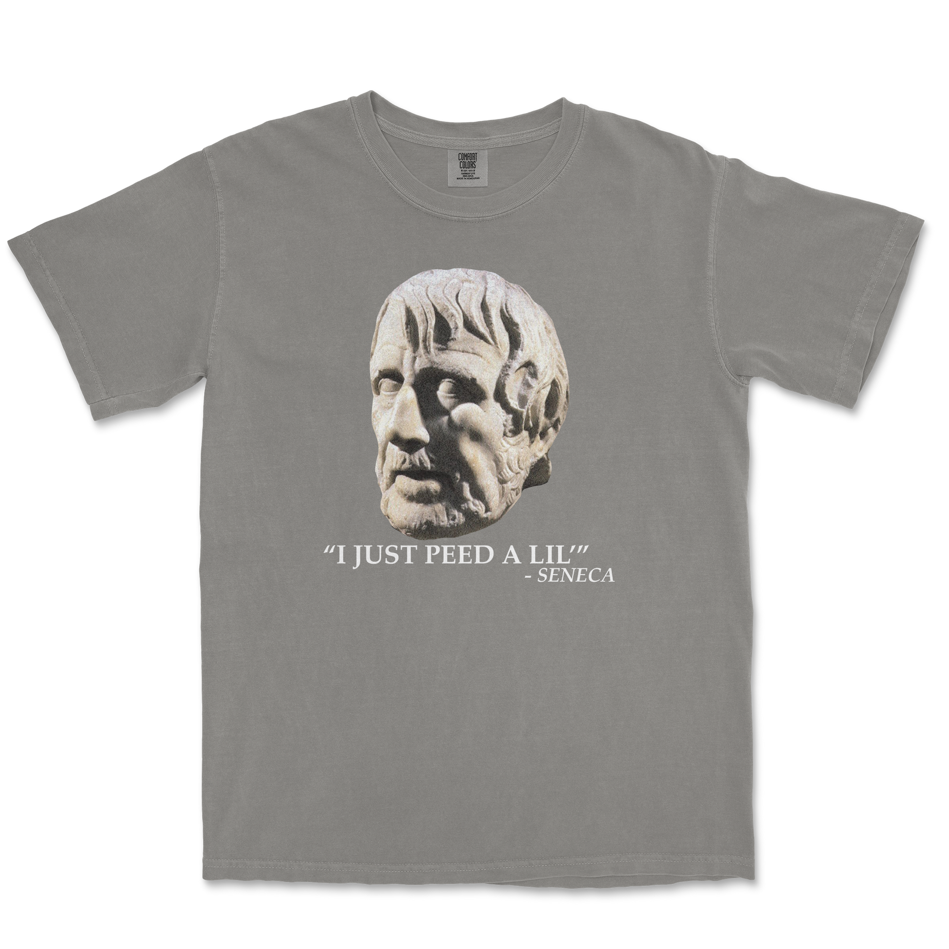 Comfort Colors T-Shirt Seneca Pee in Grey