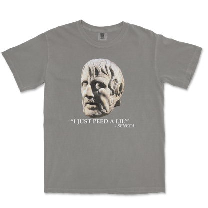 Comfort Colors T-Shirt Seneca Pee in Grey